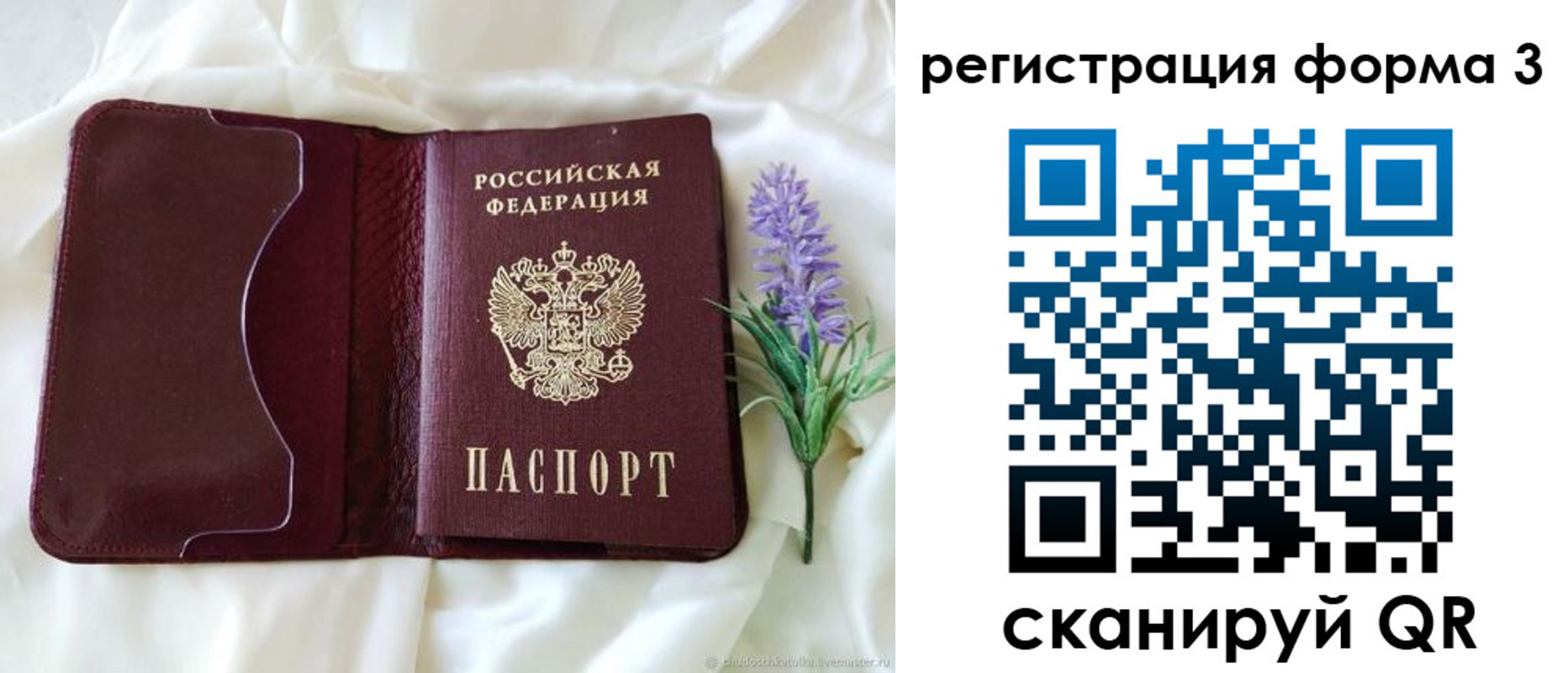 прописка для работы в Лузе